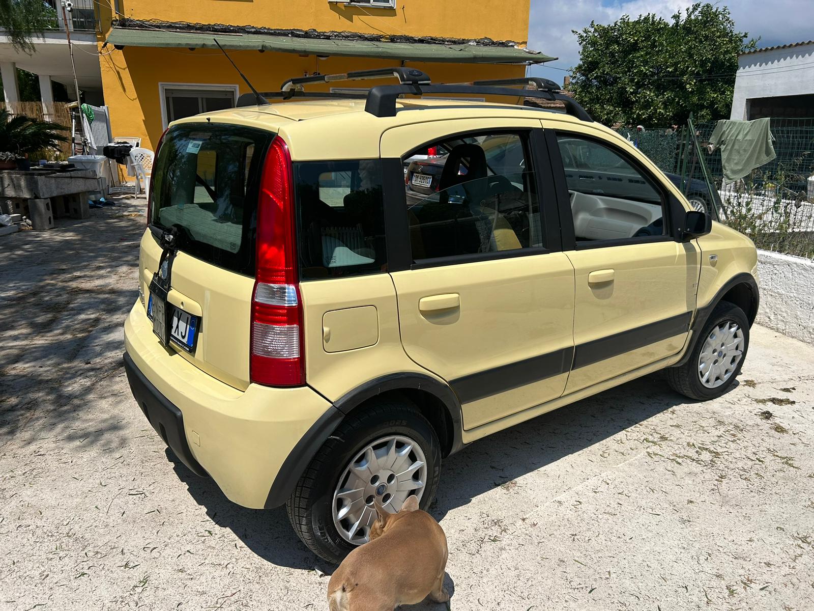 Panda 4x4 1.2 benzina - Tagliando completo - immagine 10